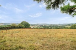 Images for Salwayash, Bridport