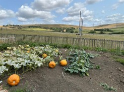 Images for Land & Stables at Bincombe, Bincombe, Weymouth