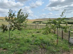 Images for Land & Stables at Bincombe, Bincombe, Weymouth