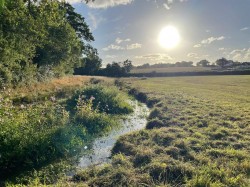 Images for Crock Street, Donyatt, Ilminster