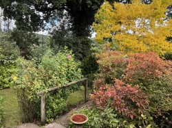 Images for Battleton, Dulverton