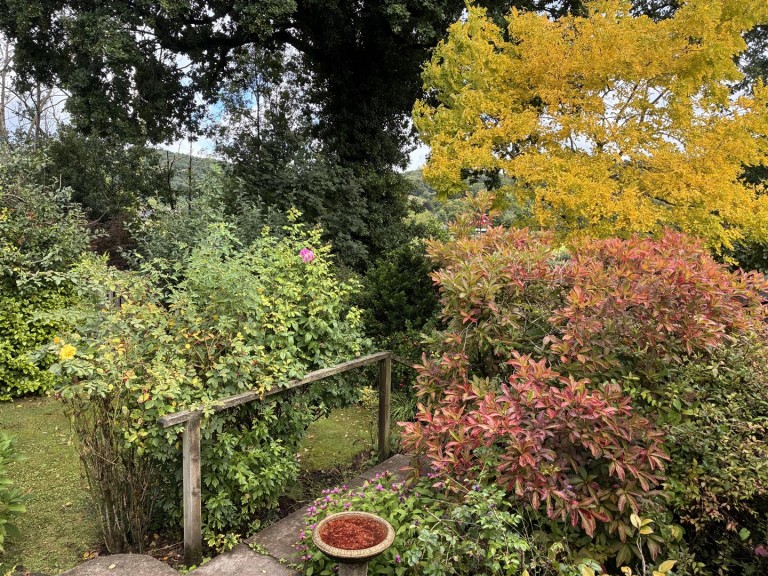 Images for Battleton, Dulverton