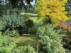 Images for Battleton, Dulverton