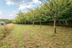 Images for Land at Crux Easton Lane, Egbury