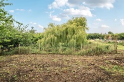 Images for Land at Crux Easton Lane, Egbury