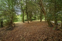 Images for Land at Crux Easton Lane, Egbury
