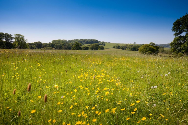 Images for White House Farm, Buckland Newton, Dorchester
