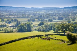 Images for White House Farm, Buckland Newton, Dorchester