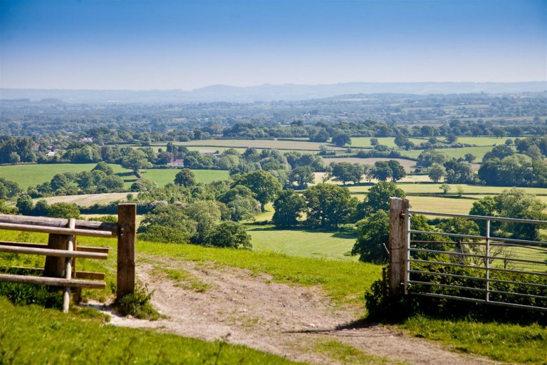 Images for White House Farm, Buckland Newton, Dorchester