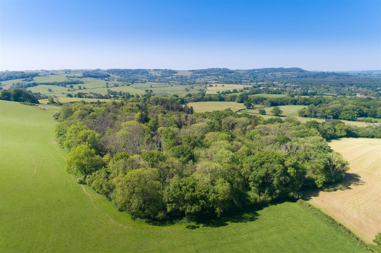Images for White House Farm, Buckland Newton, Dorchester