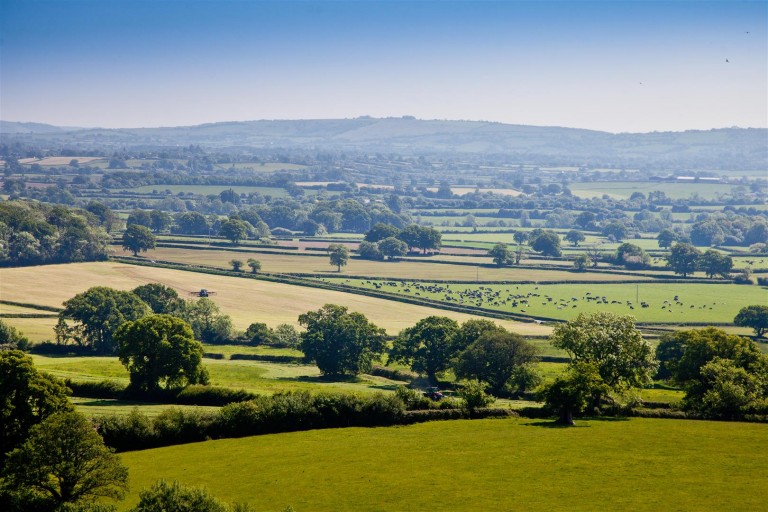 Images for White House Farm Buildings & Land, Buckland Newton, Dorchester