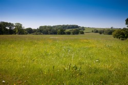 Images for Land White House Farm, Buckland Newton, Dorchester
