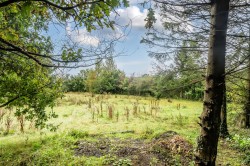 Images for Highampton, Beaworthy