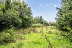 Images for Highampton, Beaworthy