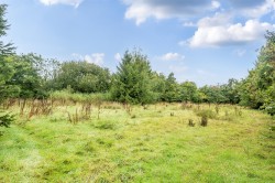 Images for Highampton, Beaworthy