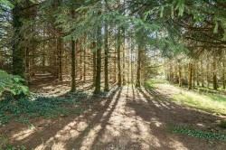 Images for Highampton, Beaworthy
