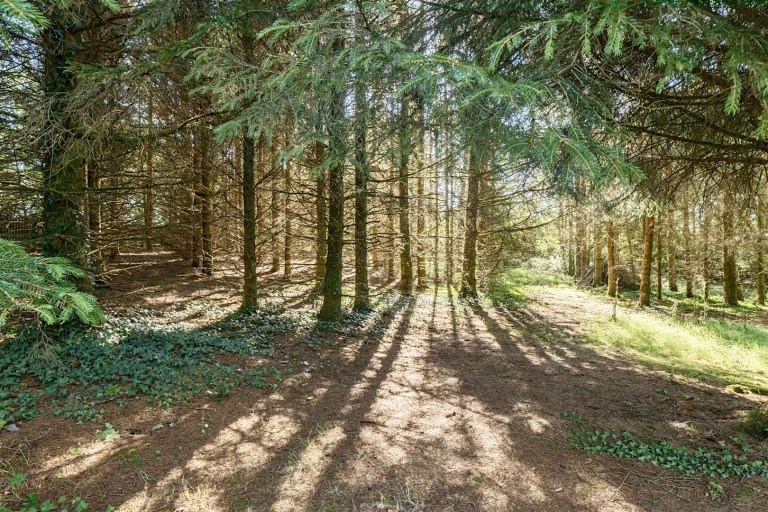 Images for Highampton, Beaworthy