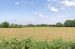 Images for Halstock, Dorset