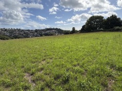 Images for Teignmouth