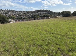 Images for Teignmouth