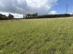 Images for Teignmouth