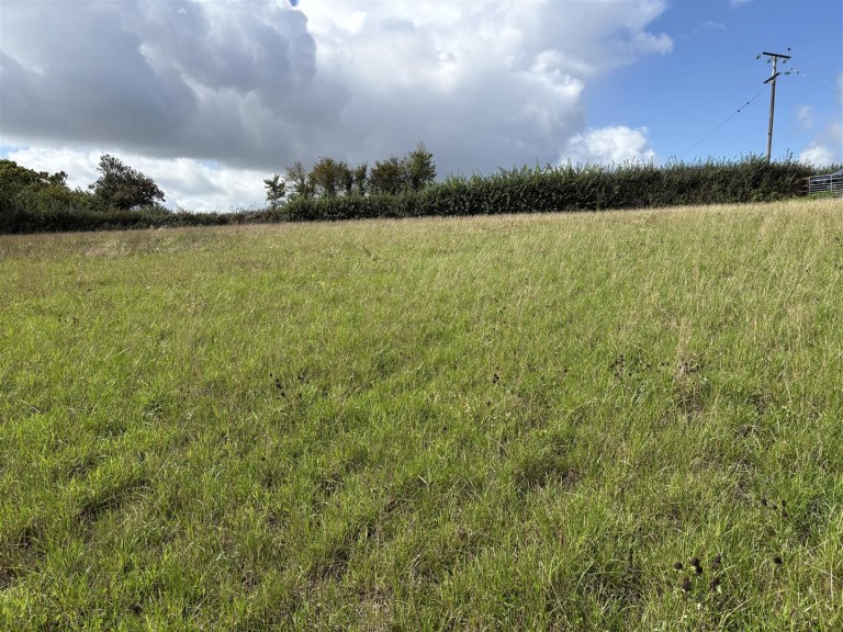 Images for Teignmouth
