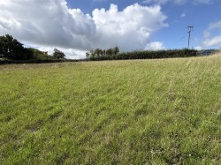 Images for Teignmouth