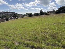 Images for Teignmouth