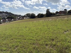 Images for Teignmouth