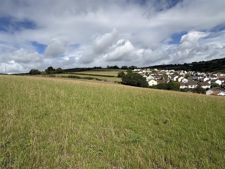 Images for Teignmouth