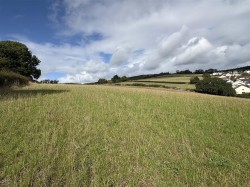 Images for Teignmouth