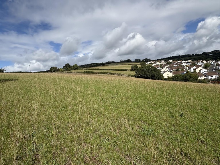Images for Teignmouth