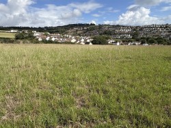 Images for Teignmouth