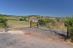 Images for Teignmouth