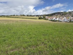 Images for Teignmouth