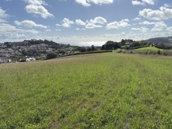 Images for Teignmouth