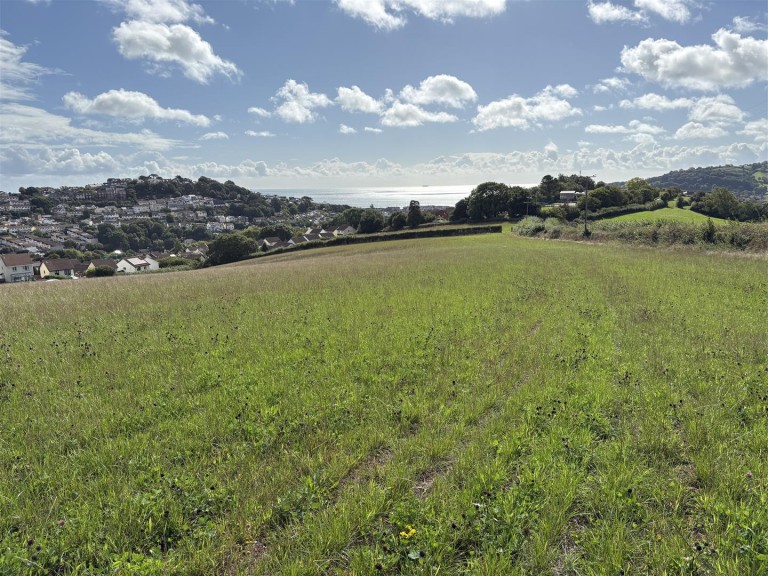 Images for Teignmouth