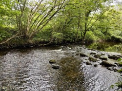 Images for Dunmere, Bodmin