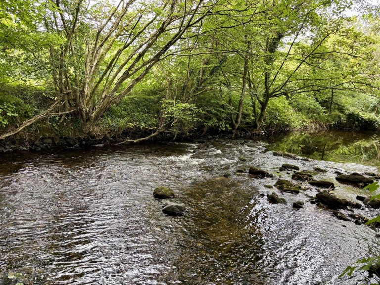 Images for Dunmere, Bodmin