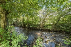 Images for Dunmere