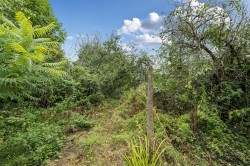 Images for Marshwood, Bridport