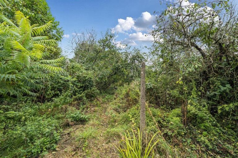 Images for Marshwood, Bridport