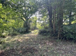 Images for Land at Burrowshot, Lyme Road, Axminster