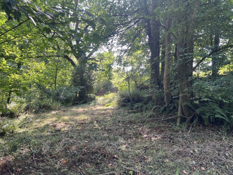 Images for Land at Burrowshot, Lyme Road, Axminster