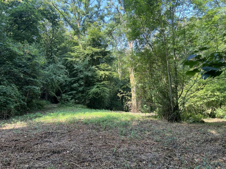 Images for Land at Burrowshot, Lyme Road, Axminster