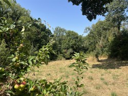 Images for Land at Burrowshot, Lyme Road, Axminster