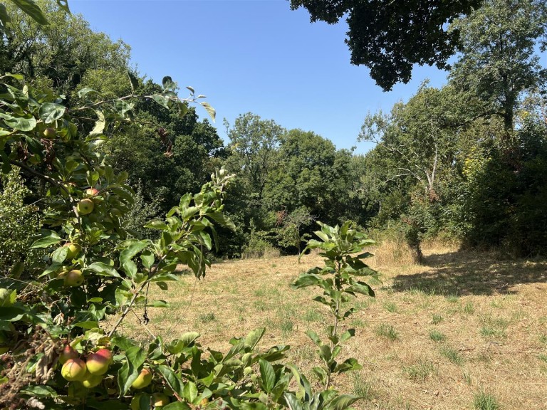Images for Land at Burrowshot, Lyme Road, Axminster