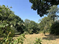 Images for Land at Burrowshot, Lyme Road, Axminster