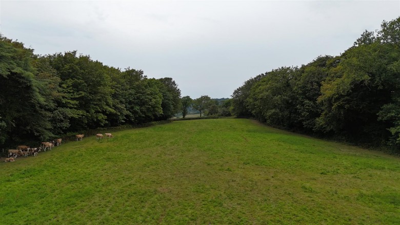 Click the photo for more details of Catherston Leweston, Charmouth
