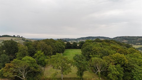 Click the photo for more details of Catherston Leweston, Charmouth
